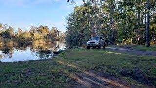 Four Creeks State Forest in Callahan, FL