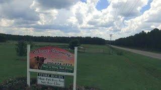 Taste Dairy Farm Life At Ocheesee Creamery In Grand Ridge