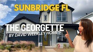 St Cloud Fl New Construction Home: Tour The Georgette in Sunbridge (Weslyn Park)