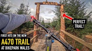 FIRST EVER HITS ON THE NEW A470 LINE AT BIKE PARK WALES!!