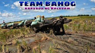 Team bahog karyada ng Kalabaw