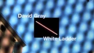 David Gray - White Ladder (Official Audio)