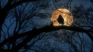 OWL sounds for Sleep, Bird Owl Cat sitting on a tree with blue sky and orange Moon