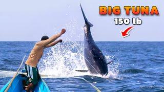 MONSTER Yellowfin Tuna Fish Catching Skills In Philippine Ocean Handline Fish Amazing Fishing Video