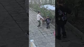 ახალი ტრანსპორტის მართვას სწავლობს  #ნუცა