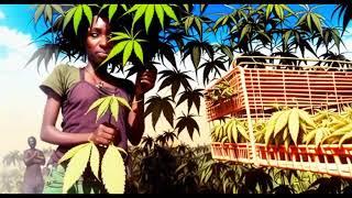 Don Goliath - I Love Jah Jah (ft P Nyne) (Electro Dub Mix) (Official Music Video)