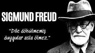 Sigmund Freud İnsanlığa Neler Kazandırdı? - Sesli Kitap Dinle