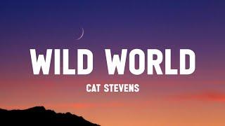 Cat stevens - wild world (Lyrics) from the Venom : the last dance ] trailer song