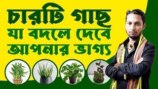 চারটি গুরুত্বপূর্ণ গাছ যা নিজের বাড়িতে রাখবেন | Dr. Kaushik Acharya | The youngest Tantric