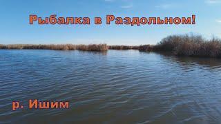 Рыбалка в Раздольном/ красивая акватория реки Ишим/ ловим окуня и щуку на спиннинг/испытываю балду