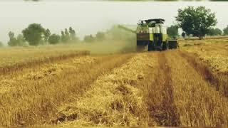 #vishal combine #khet #new harvester #field