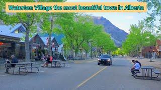 Waterton Village - One of the most beautiful town in Alberta, Canada #Alberta  #Calgary #waterton