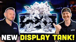 BRAND NEW 50 Gallon Saltwater Waterfall Reef Aquarium!