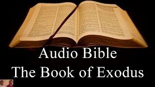 The Book of Exodus - NIV Audio Holy Bible - High Quality and Best Speed - Book 2