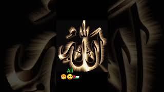 SAMEER