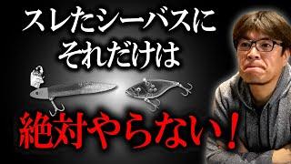 シーバスにフィネスな釣りは絶対NG！※居着きシーバス　村岡昌憲切り抜き