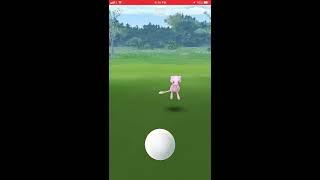 Catching Mew(Without Voiceover)