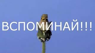 Лучшие фильмы для повышения осознанности и духовного роста  Духовное кино