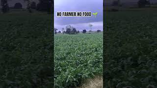 #farminglife ,#farmerslife #farminglifestyle #shortsvideo #myfarminglife #shorts