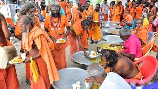 MahaShivratri Annadanam️Girivalam Path, Tiruvannamalai