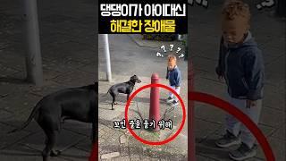 산책중이던 댕댕이가 아이대신 해결한 장애물