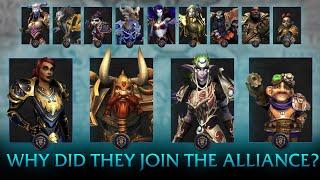 "Why Did They Join The Alliance?" - Warcraft Race Origins EXPLAINED