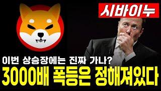 [ 시바이누 코인 전망 ] 이번 상승장 진짜 10원 이상 가나? 3000배 폭등 확정 #shib #시바이누코인 #시바이누 #시바이누전망 #밈코인 #비트코인 #이더리움 #도지코인