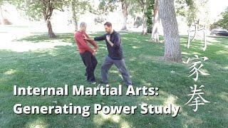 Internal Martial Arts - Power Study 内家拳