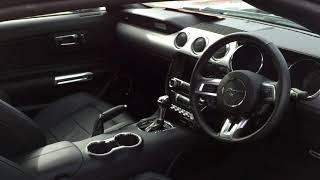 PJ Nicholls Pearls - Ford Mustang