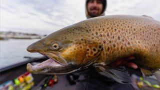 Fishing for World-Class Trout on Lake Michigan (Wisconsin Harbors)