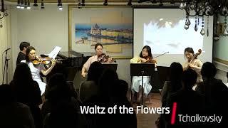 Tchaikovsky Waltz of the Flowers 꽃의왈츠  / 에클레또 / String Orchestra / 스트링콰르텟