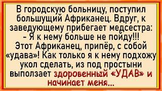 Как УДАВ африканца медсестре в трусы залез! Сборник свежих анекдотов! Юмор!