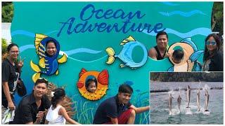 Ocean Adventure | Gerine Kate Johnston