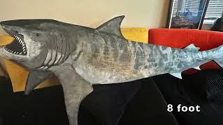 Shark Collection Dedicated to Jim & Kim