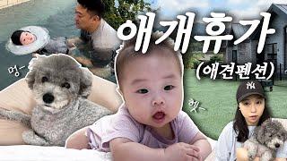 [VLOG] 애개육아, 여름휴가, 아기와 강아지의 첫여행! •애견펜션 •아기바스앤샴푸 (육아브이로그)