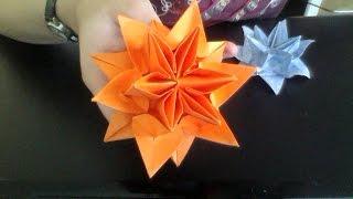 Origami Lotus Water Lily flower instructions