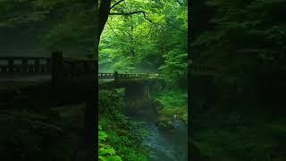 morning#vice ️ natural#shots