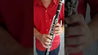 Conhecendo a clarineta