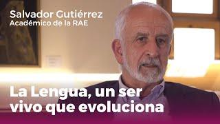 "La lengua, un ser vivo que evoluciona" | Entrevista a Salvador Gutiérrez (Académico de la RAE)