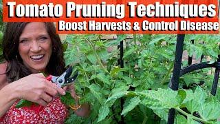 Tomato Pruning Techniques to Boost Your Harvest and Control Disease