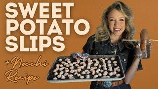 Sweet Potato Day! Cook Our Harvest With Us