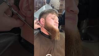 Long beard cut #beard #barber #shortsfeed