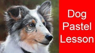 How To Draw Dog Fur - A Realistic Dog: Pastel & Panpastel Tutorial | Pet Portrait