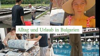 Vlog: Leben in einer Kleinstadt in Bulgarien/Einkauf/Gewohnheiten/Verkehrsmittel/Alltag/Entspannung