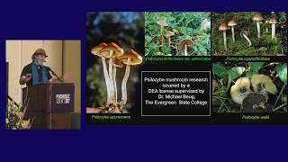 Paul Stamets: Psilocybin Mushrooms & The Mycology of Consciousness