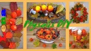 5 DIY's mit Lampion Blume - Herbst Deko Ideen - Physalis decorations - Осенний декор с физалисом