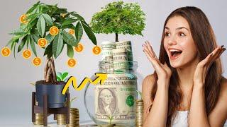 Even Growing ONE Of these Plants will Make you RICH 