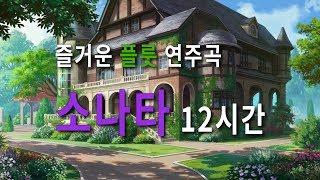 봄 향기 가득한 플룻 소나타 연주곡 | Sonata XV in Sol maggiore 12시간 브금 반복