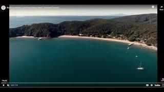 Working towards a pest free Kawau Island | Auckland Council