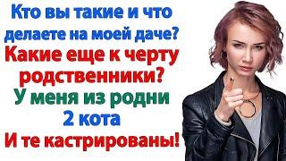 Ты превратил мой дом в проходной двор для своей наглой родни? Забирай этих уродов и валите к черту!